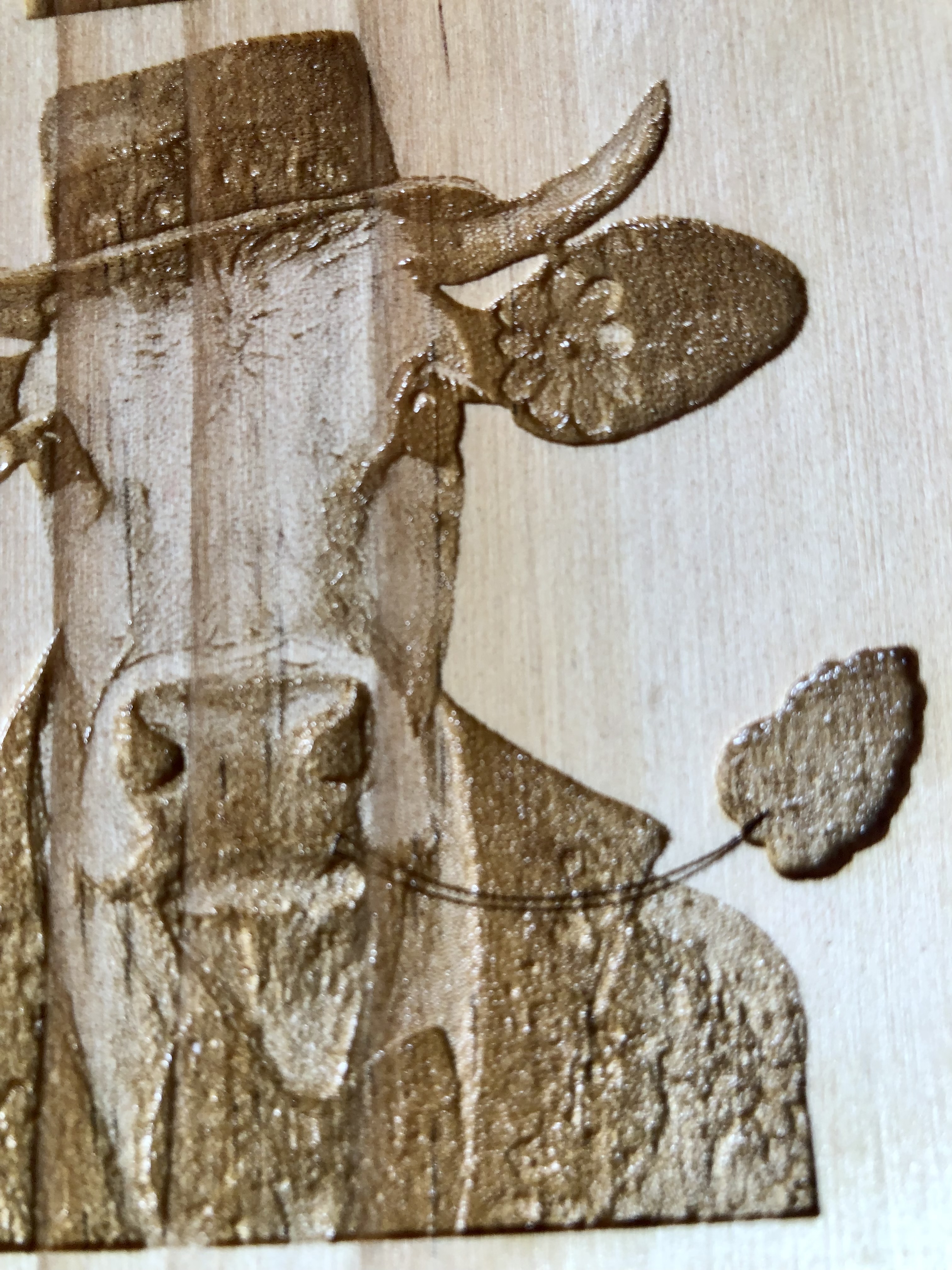 QUIRKY FARM ANIMALS COASTERS - Laser Etched Wood Coasters - Set of 4 - "SOUR EVANGELIST" Design #1