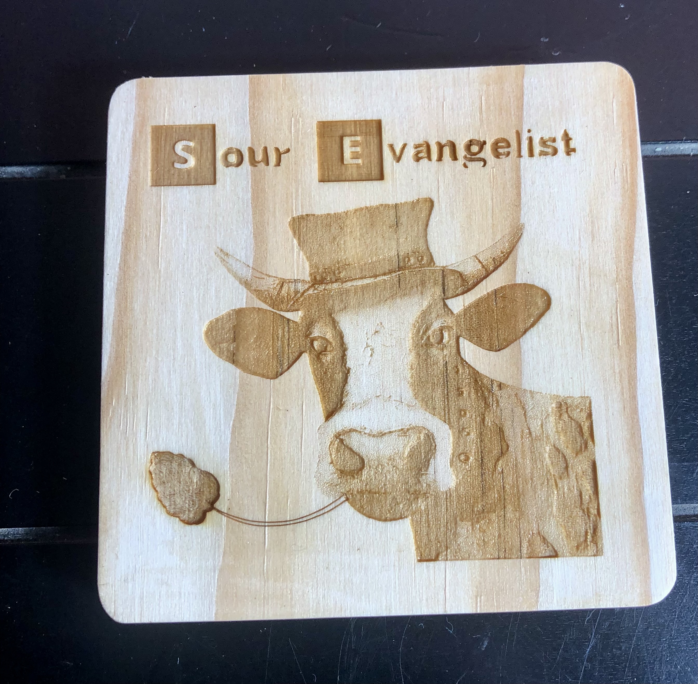 QUIRKY FARM ANIMALS COASTERS - Laser Etched Wood Coasters - Set of 4 - "SOUR EVANGELIST" Design #2