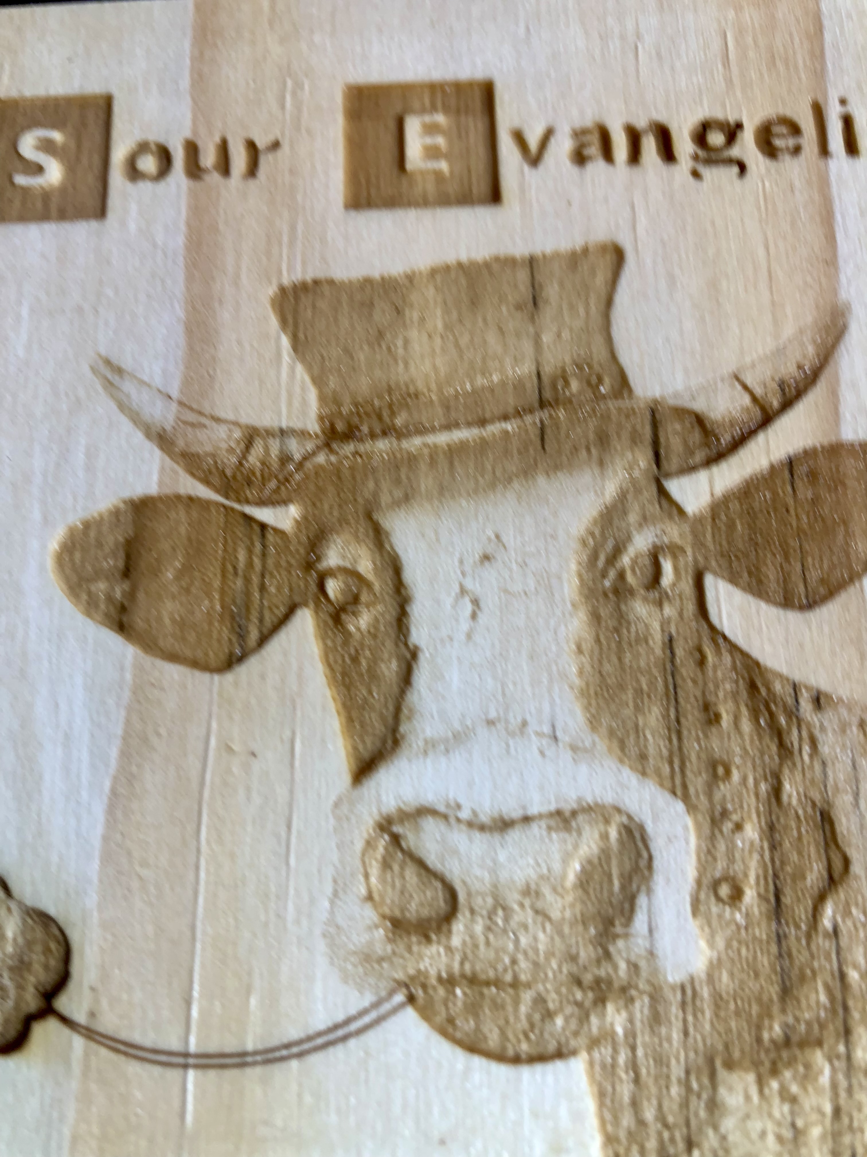 QUIRKY FARM ANIMALS COASTERS - Laser Etched Wood Coasters - Set of 4 - "SOUR EVANGELIST" Design #2