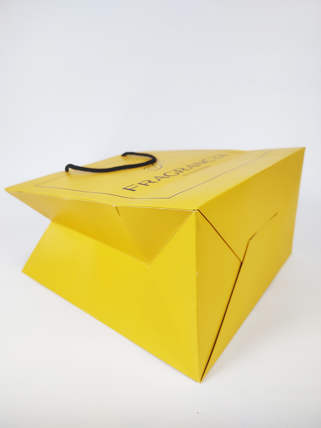 Eco Friendly Luxury Shopping Gift Paper Bag with Handle