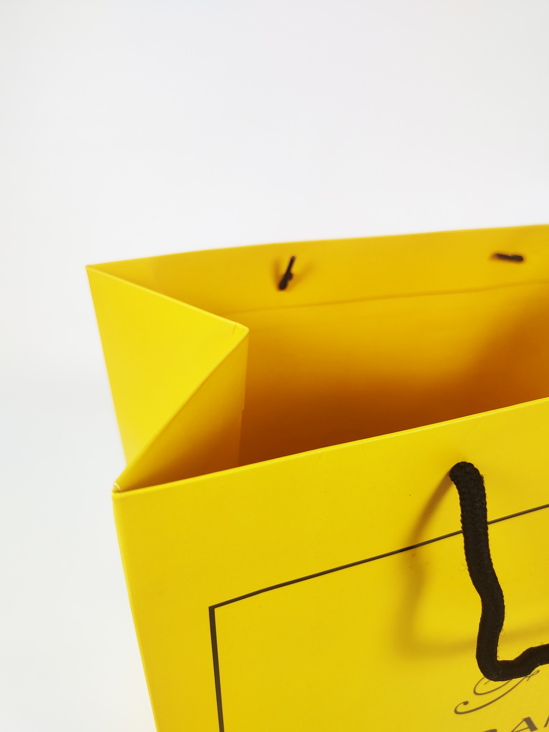 Eco Friendly Luxury Shopping Gift Paper Bag with Handle