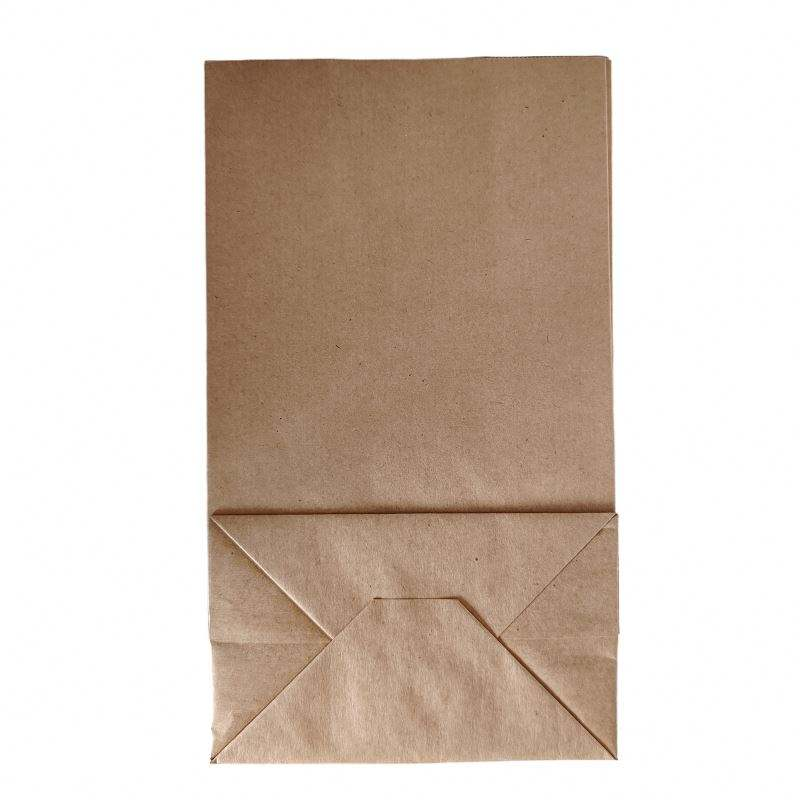 Small Kraft Paper Bags - Food Grade 50g to 500g SOS Brown Packaging for Medicine & Food