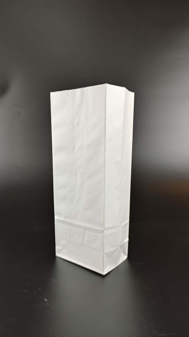 Custom Logo Kraft Paper Bags - 1kg Recyclable Food & Medicine Packaging Supplier