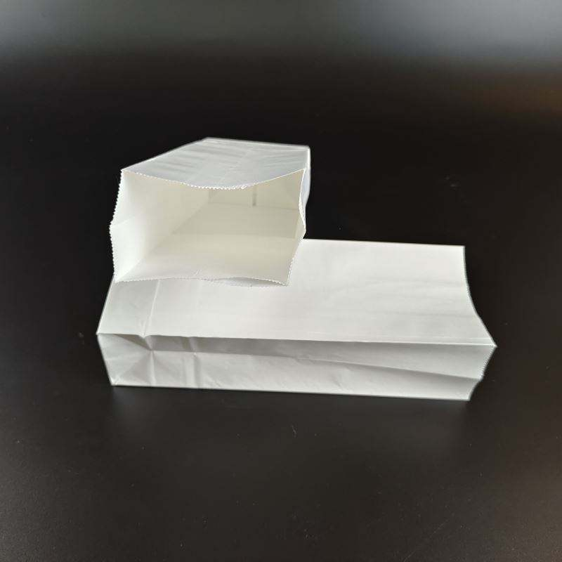 Custom Logo Kraft Paper Bags - 1kg Recyclable Food & Medicine Packaging Supplier