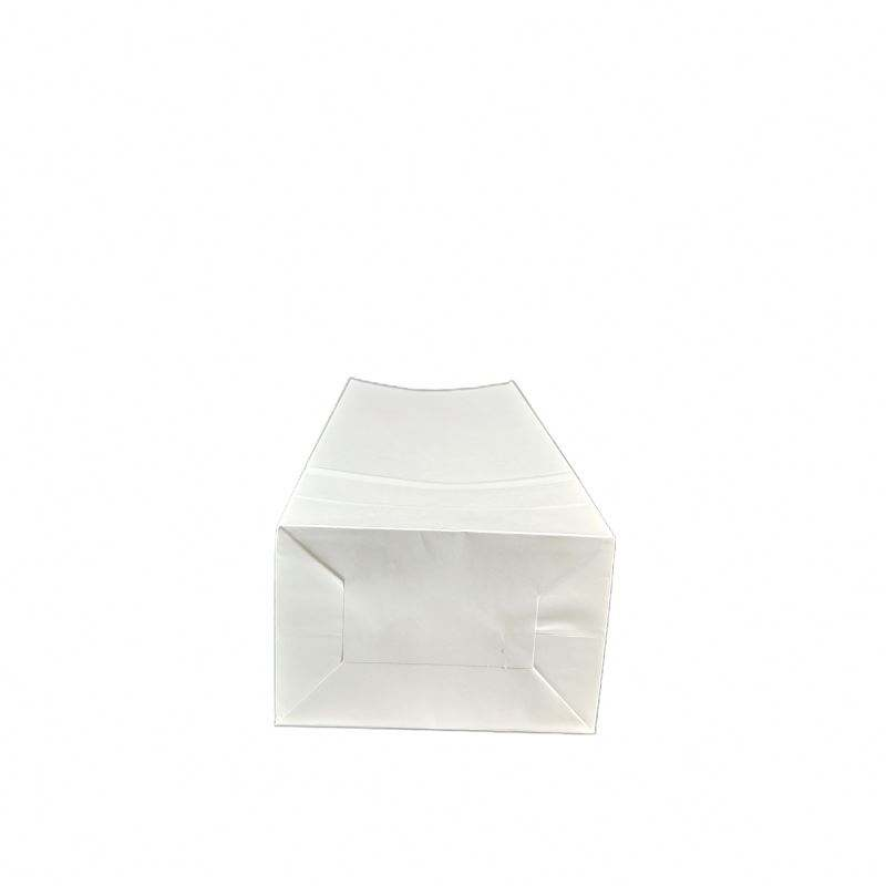 Pharmacy Kraft Paper Bags - Custom Printed Prescription & Pill Packaging for Hospitals