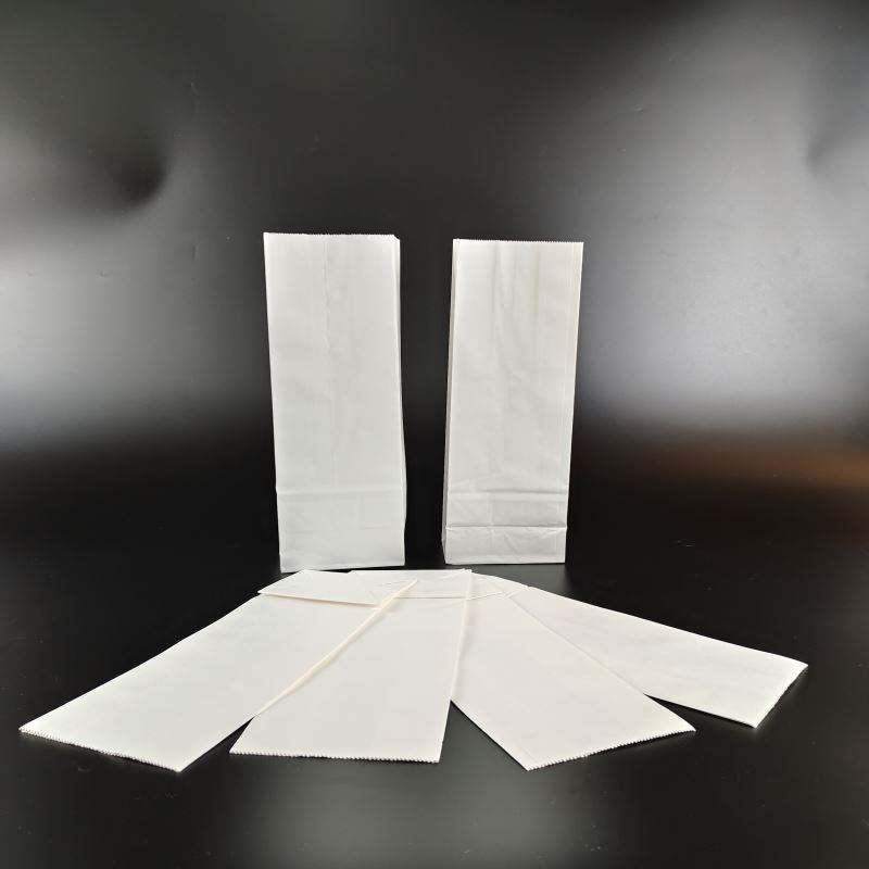 Custom Logo Kraft Paper Bags - 1kg Recyclable Food & Medicine Packaging Supplier