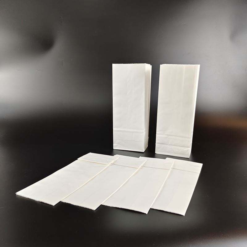 Custom Logo Kraft Paper Bags - 1kg Recyclable Food & Medicine Packaging Supplier