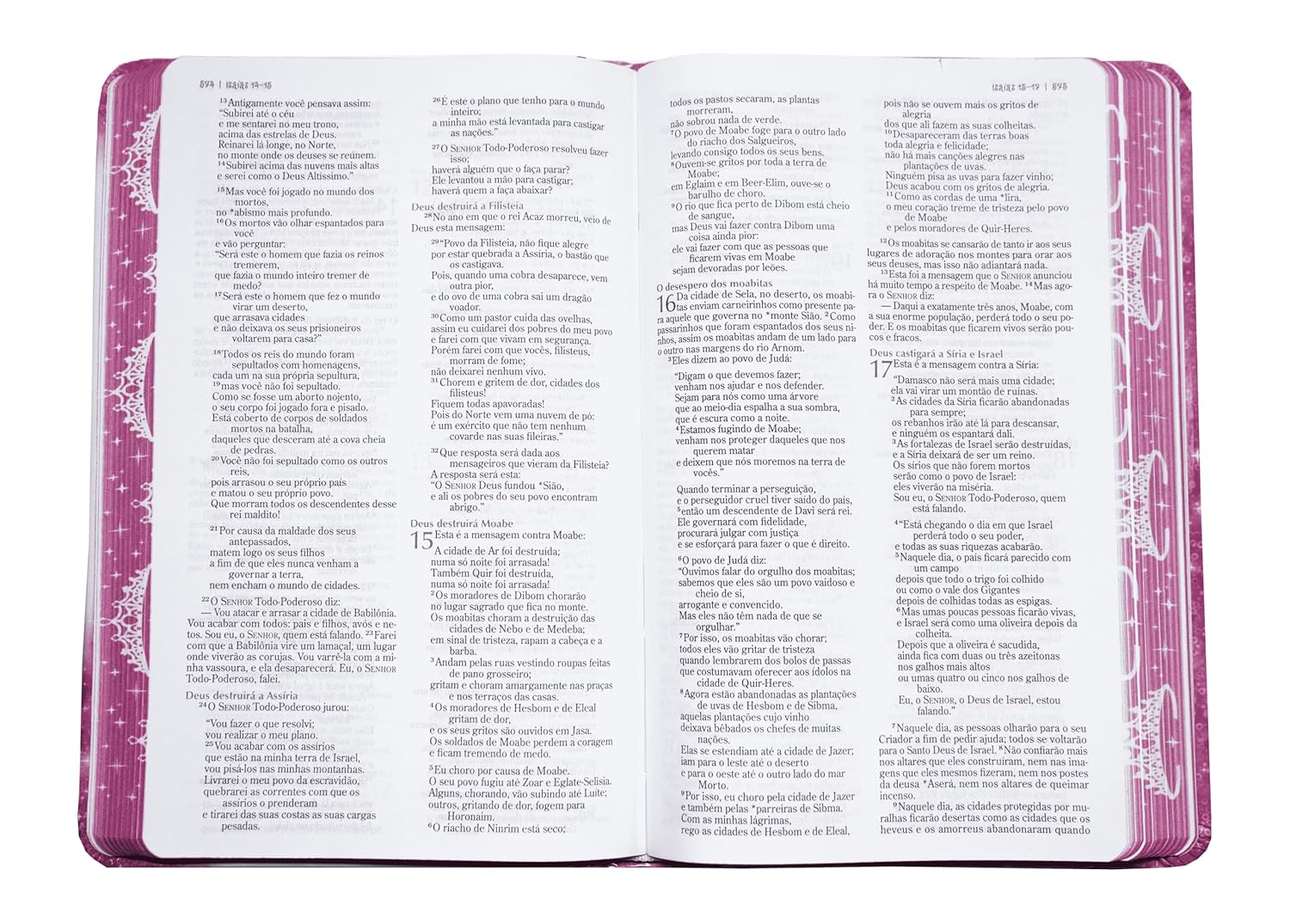 Bíblia Sagrada da Princesinha