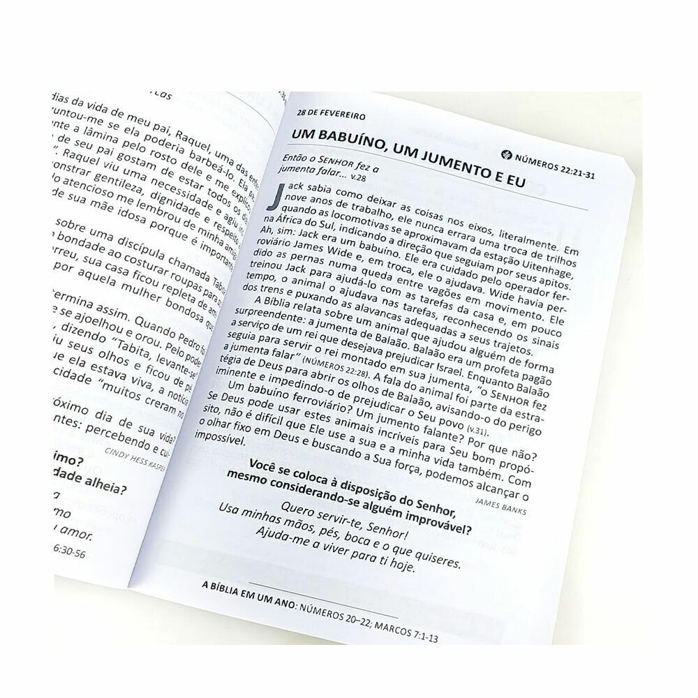 Pão Diário Volume 28