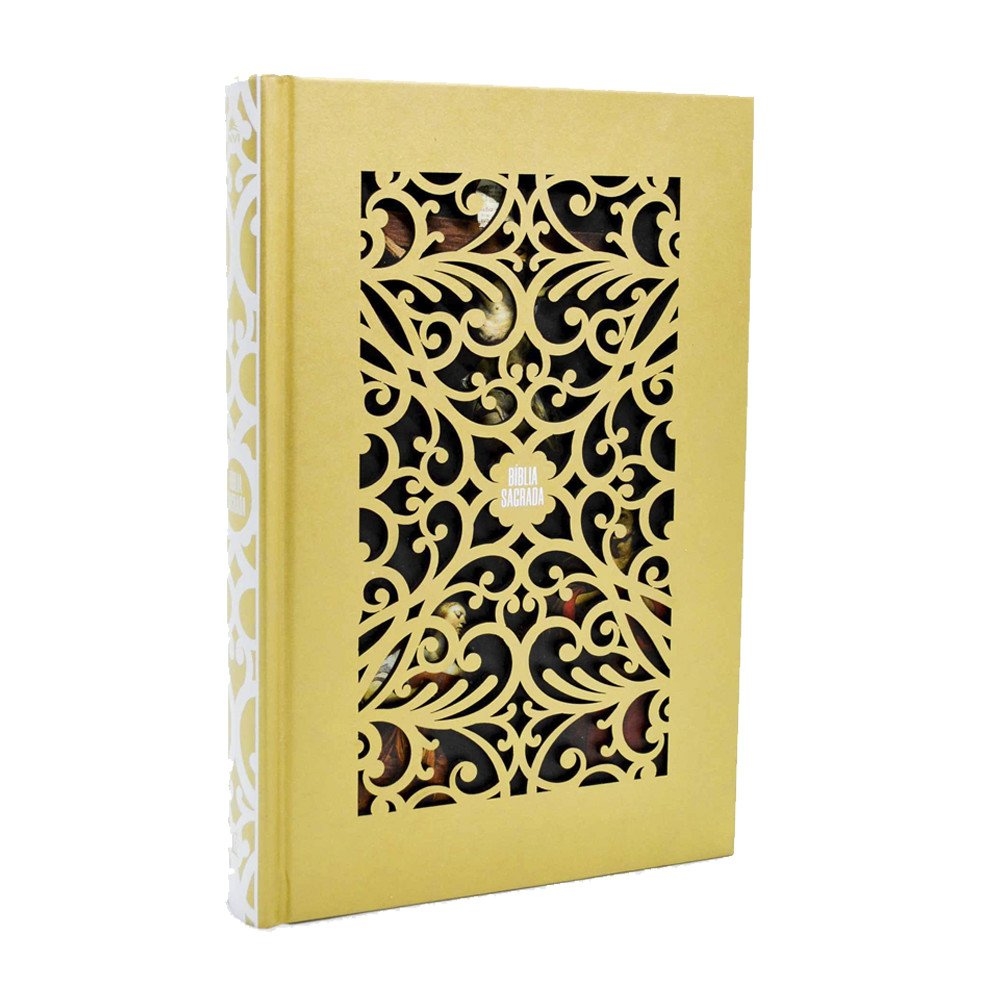 Bíblia Sagrada NVI Leitura Perfeita Capa Dura Artística Jesus Cristo