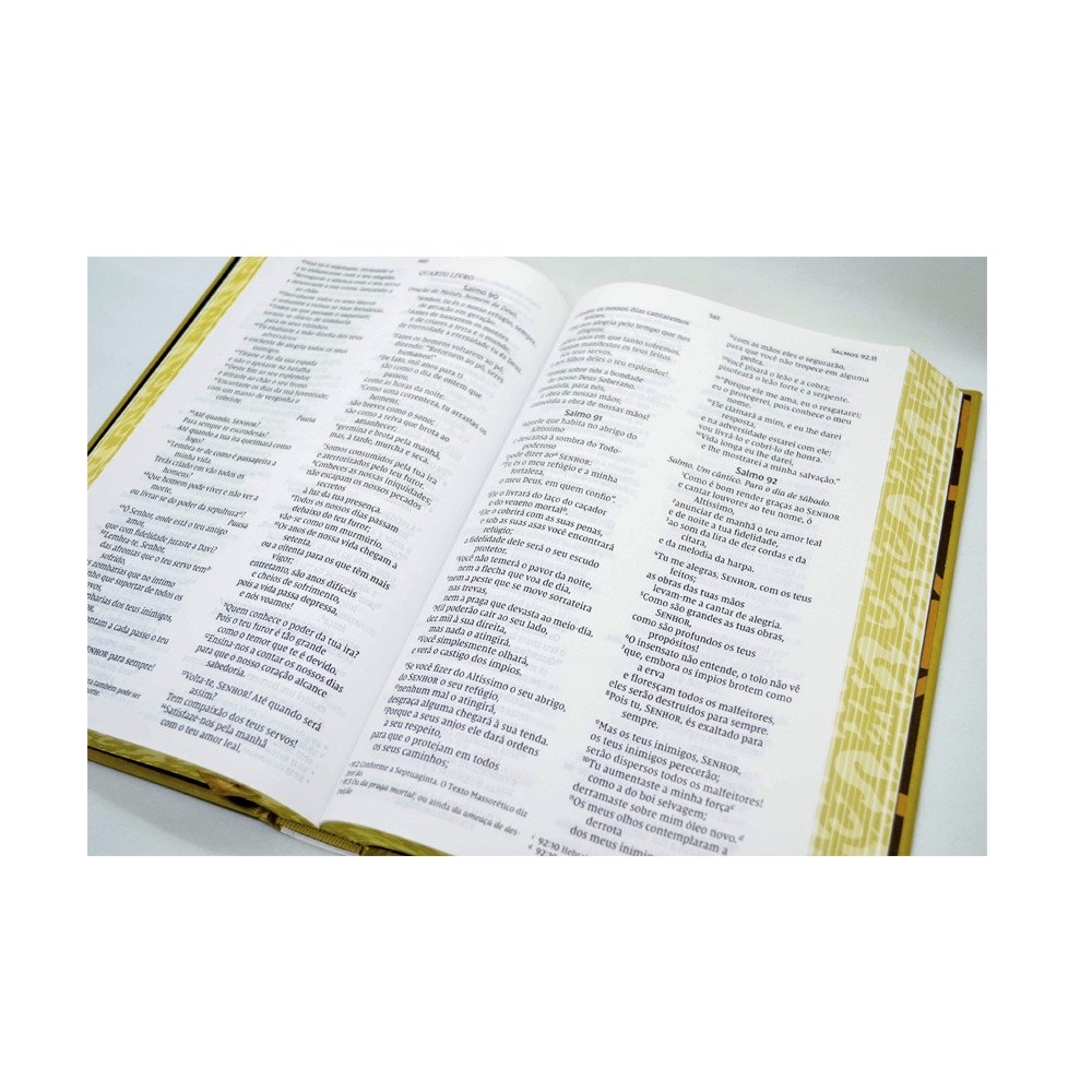 Bíblia Sagrada NVI Leitura Perfeita Capa Dura Artística Jesus Cristo