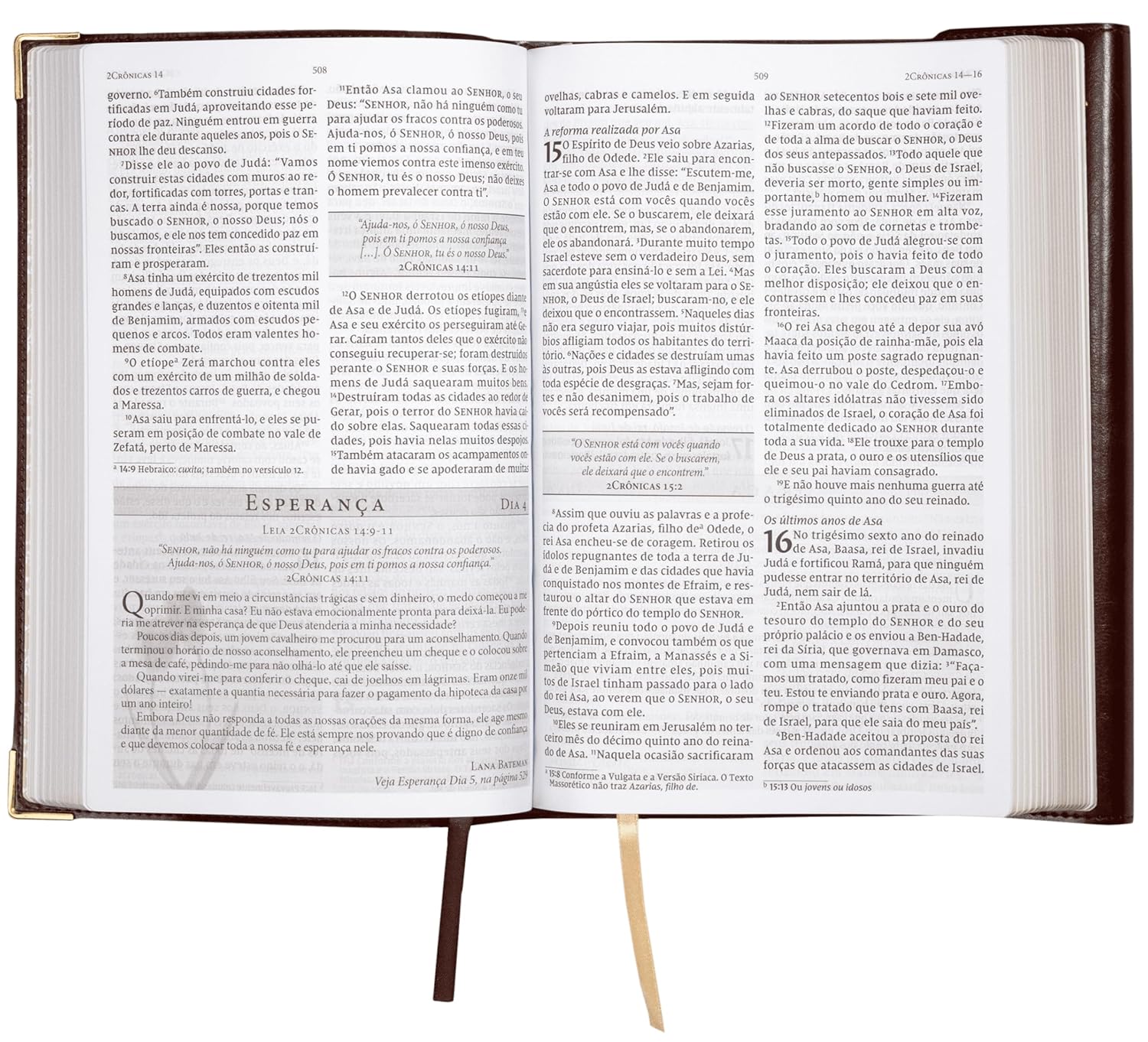 Bíblia da Mulher de Fé