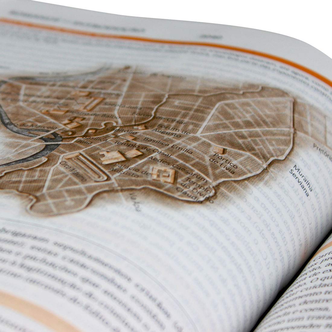 Bíblia de Estudo NAA