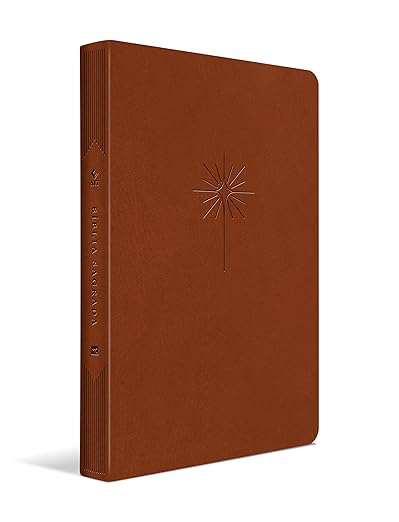 Bíblia Sagrada NVT – Nova Versão Transformadora