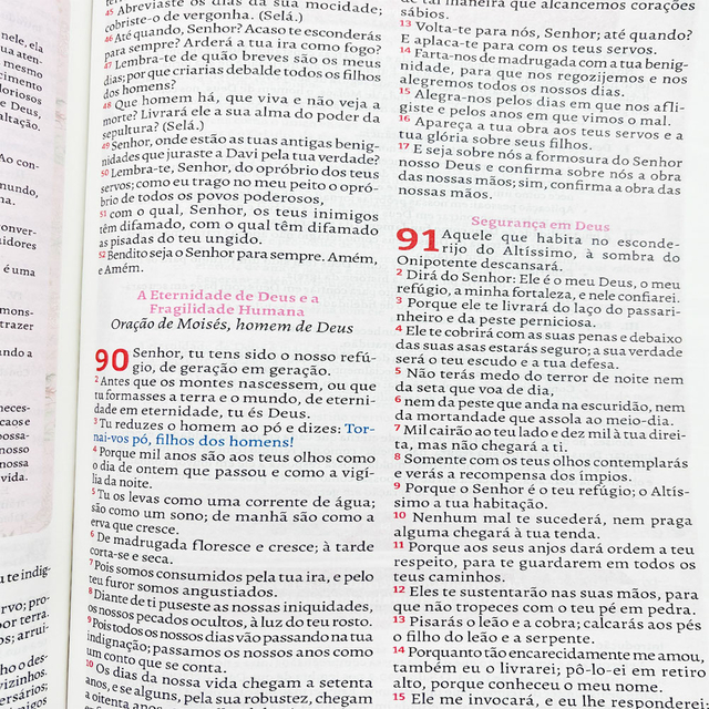 Bíblia da Pregadora Fiel