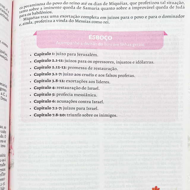 Bíblia da Pregadora Fiel