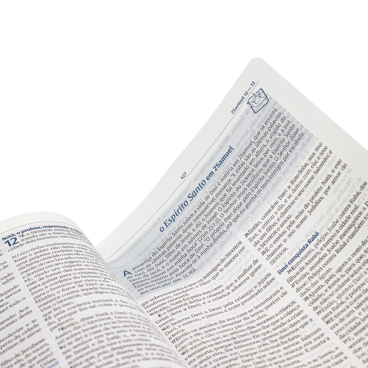 Bíblia do Jovem Pregador Pentecostal