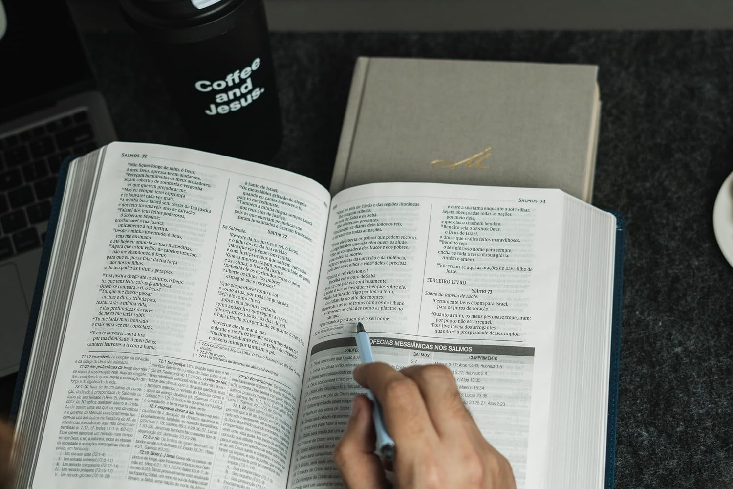 Bíblia de Estudo MacArthur