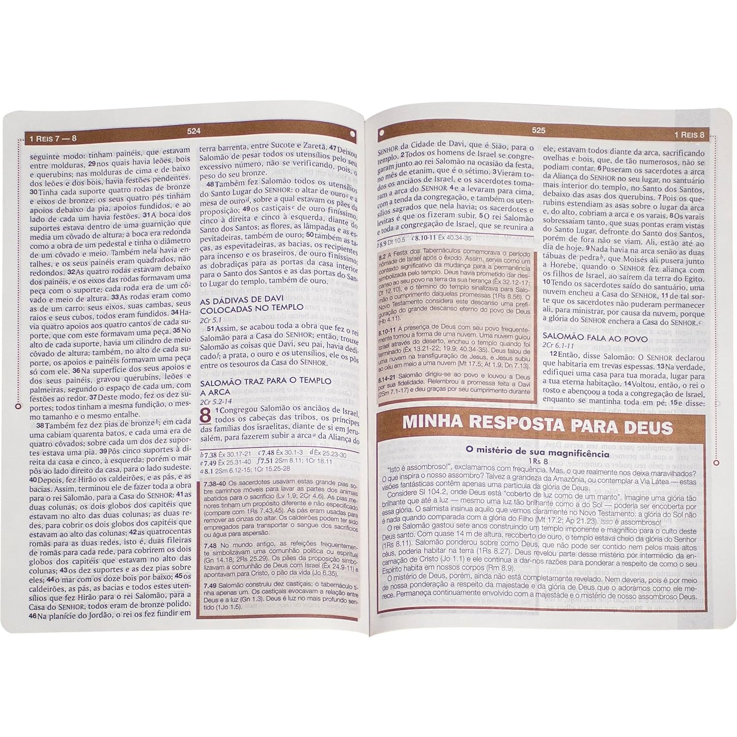 Bíblia de Estudo Esquematizada