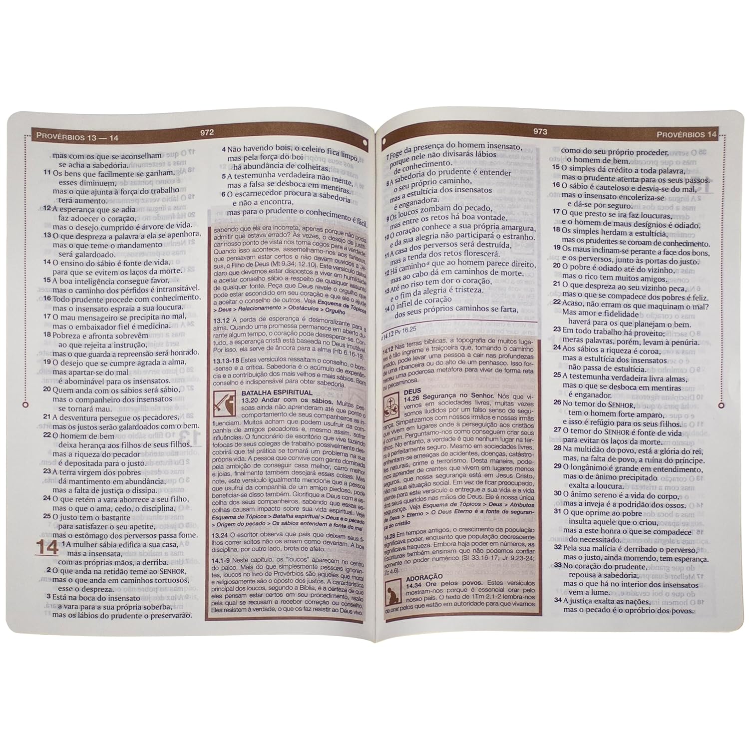 Bíblia de Estudo Esquematizada