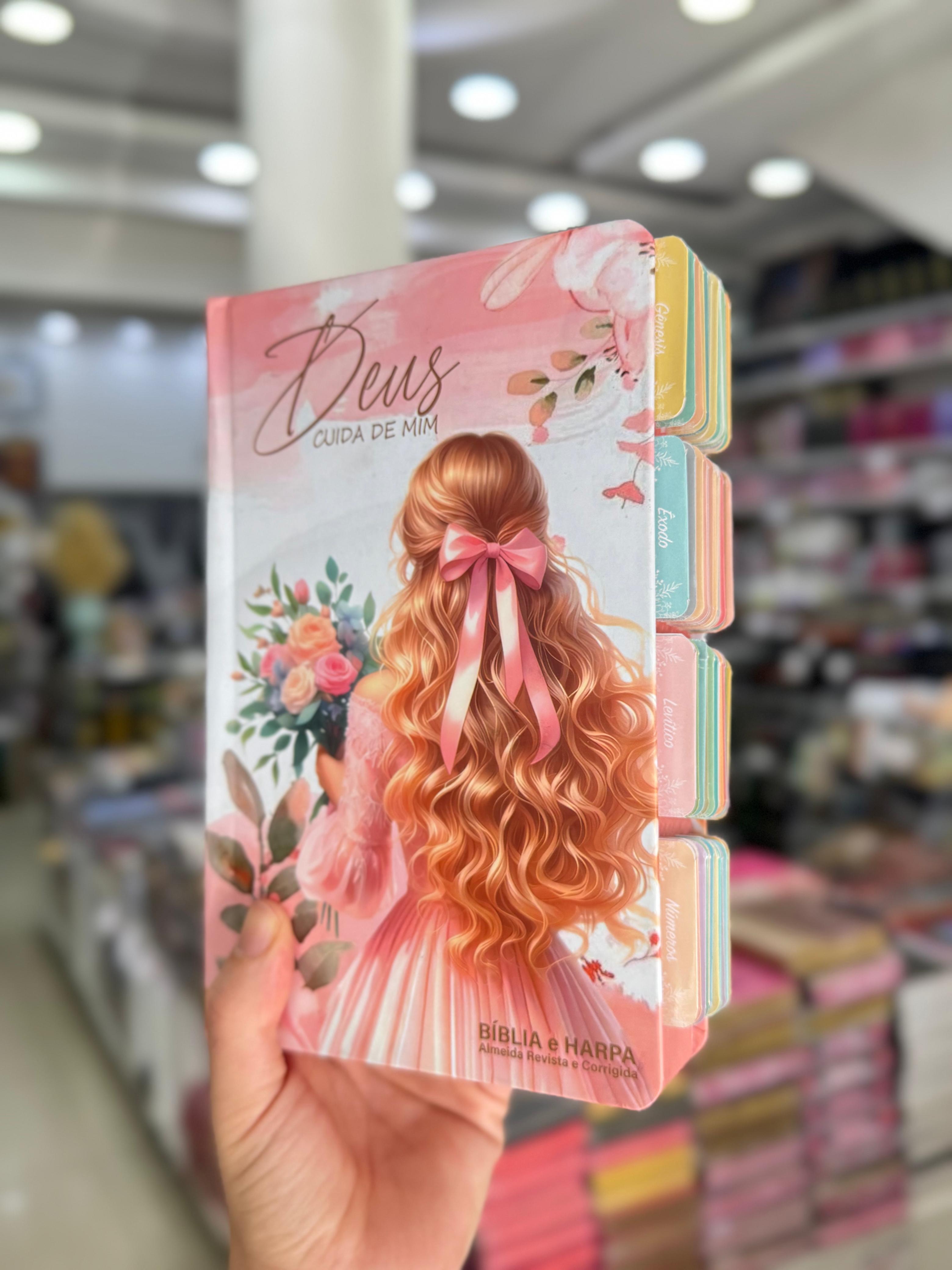 Bíblia Capa Exclusiva RDE com Abas, Harpa e tradução ARC
