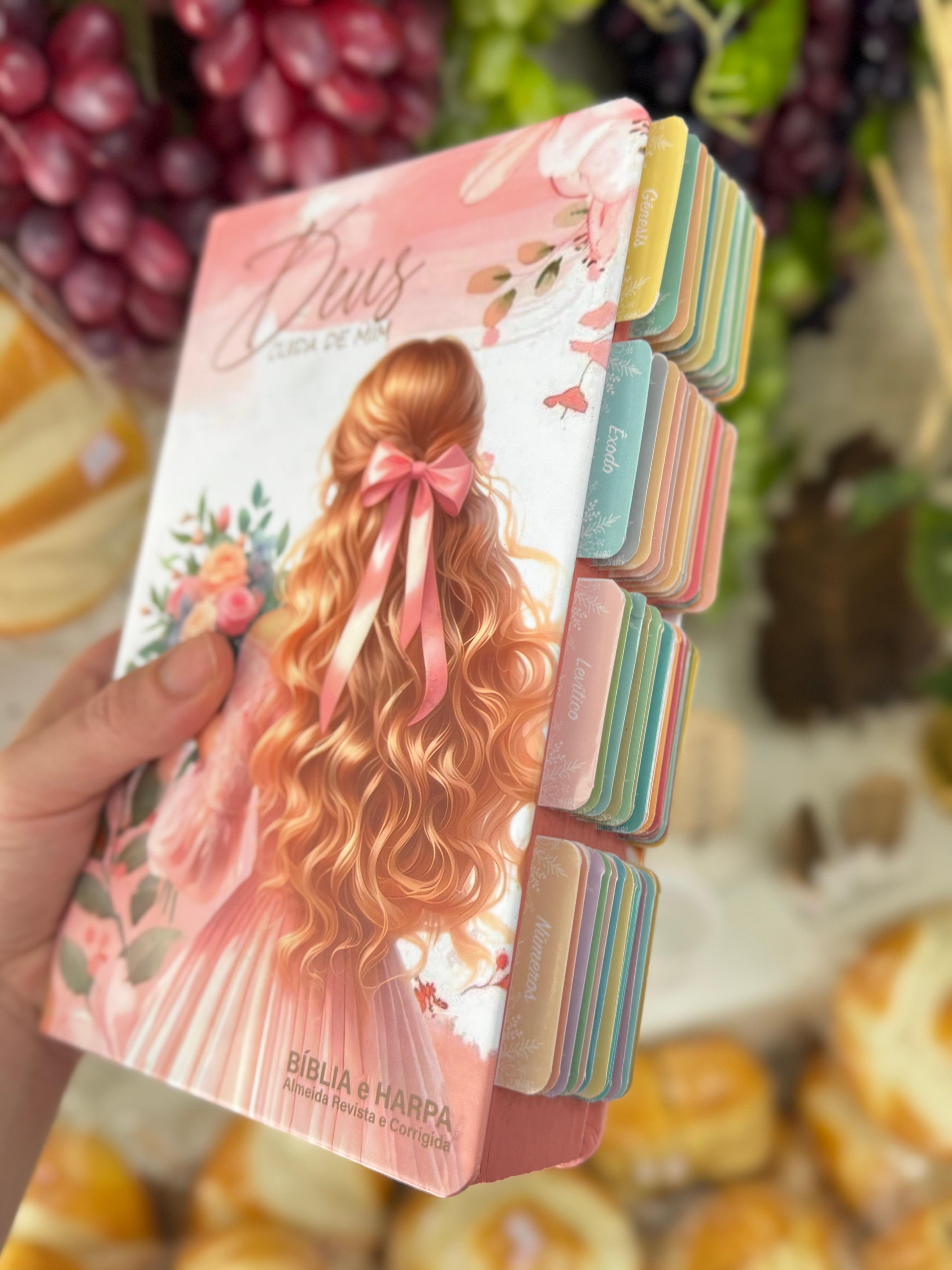 Bíblia Capa Exclusiva RDE com Abas, Harpa e tradução ARC