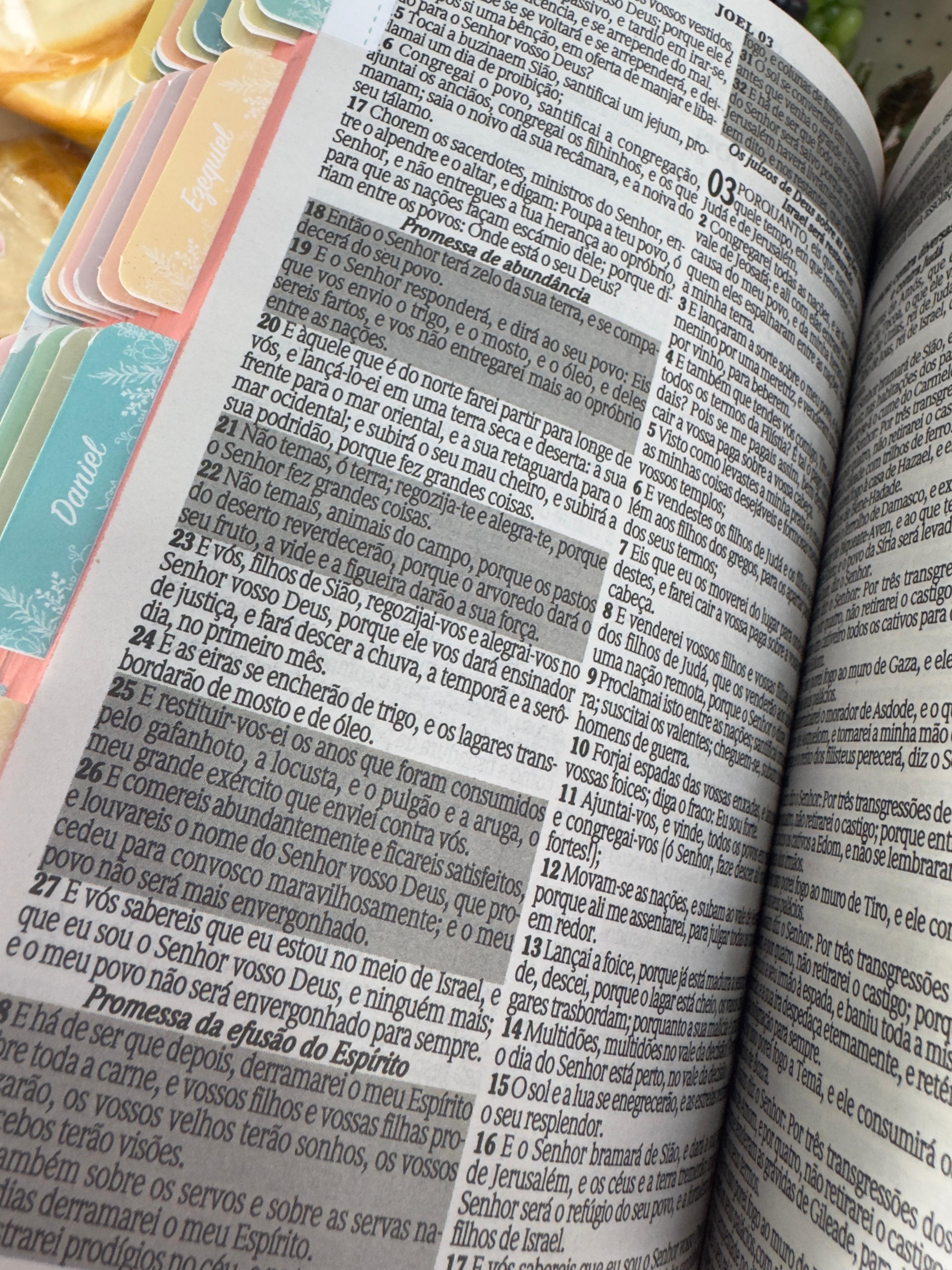 Bíblia Capa Exclusiva RDE com Abas, Harpa e tradução ARC