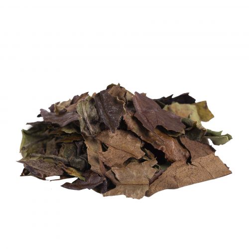 China Té blanco especial Pai Mu Tan BIO