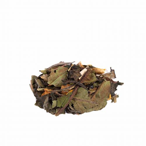 Jengibre - Menta BIO