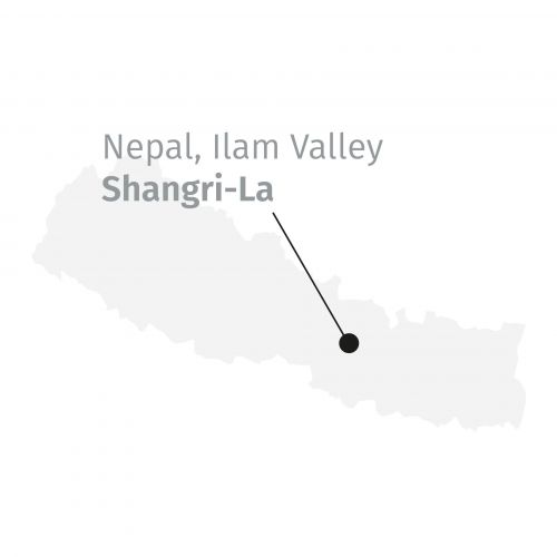 Himalayan Snow Mountain BIO