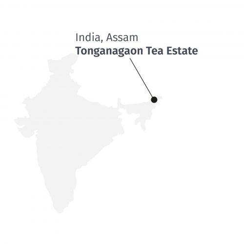 Assam SFTGFOP1 Tonganagaon BIO