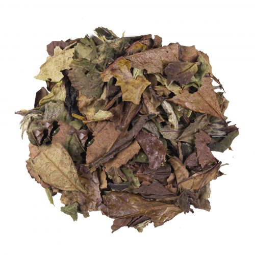China Té blanco especial Pai Mu Tan BIO