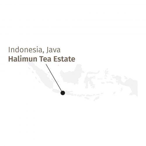 Halimun Jade Oolong BIO