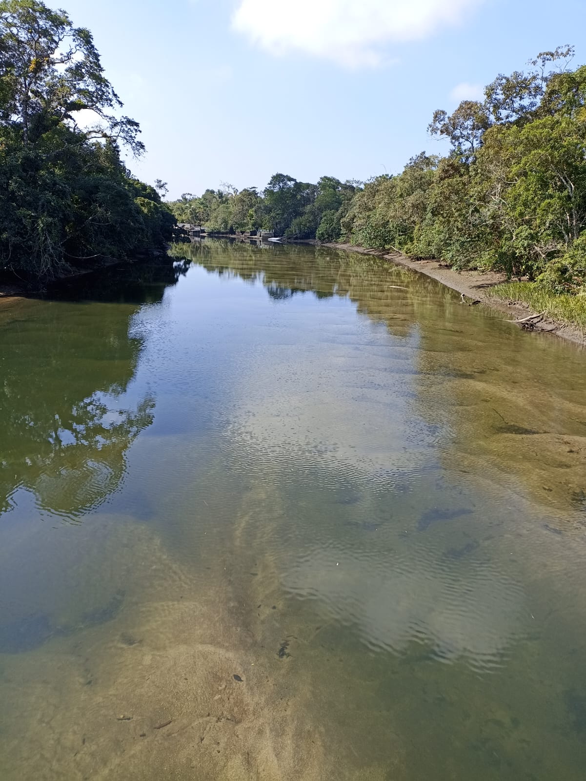 Rio Jaguareguava Ecoturismo