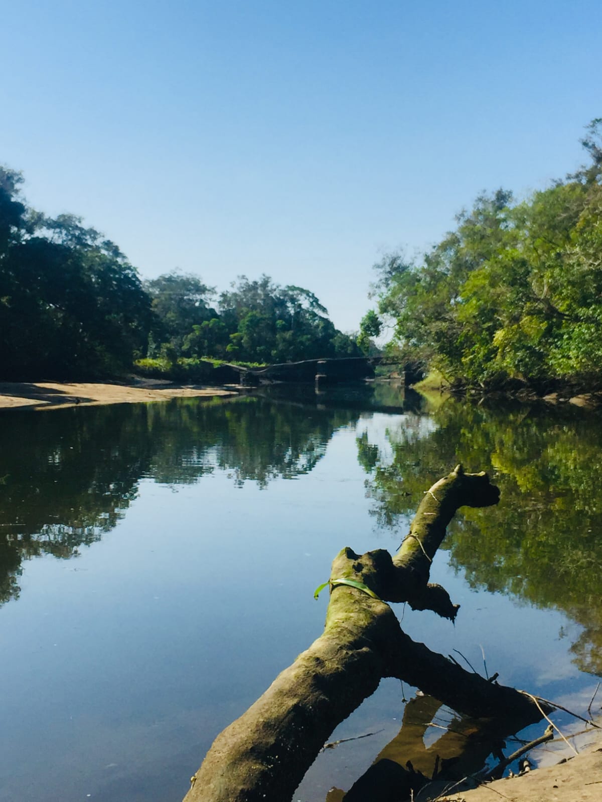 Rio Jaguareguava Ecoturismo