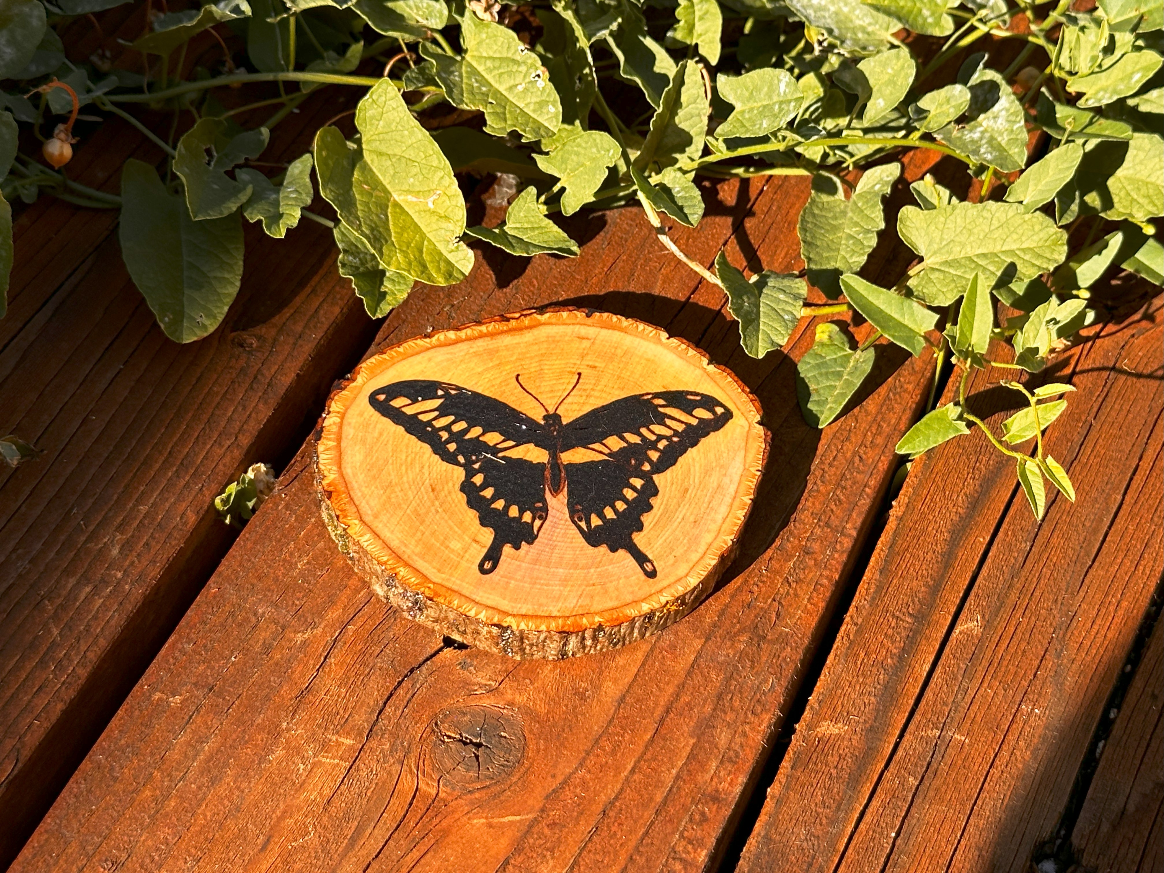 Handcrafted Butterfly Coaster on Basswood
