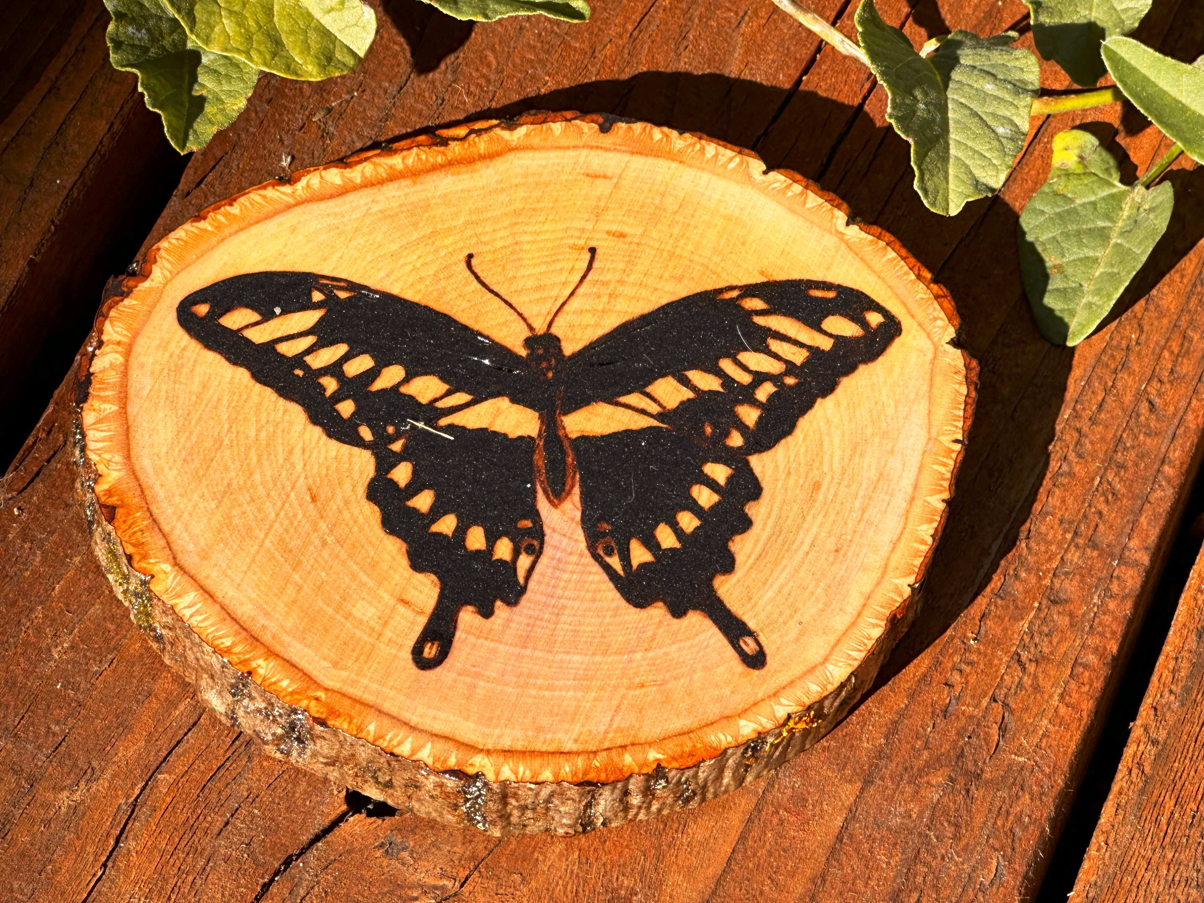 Handcrafted Butterfly Coaster on Basswood