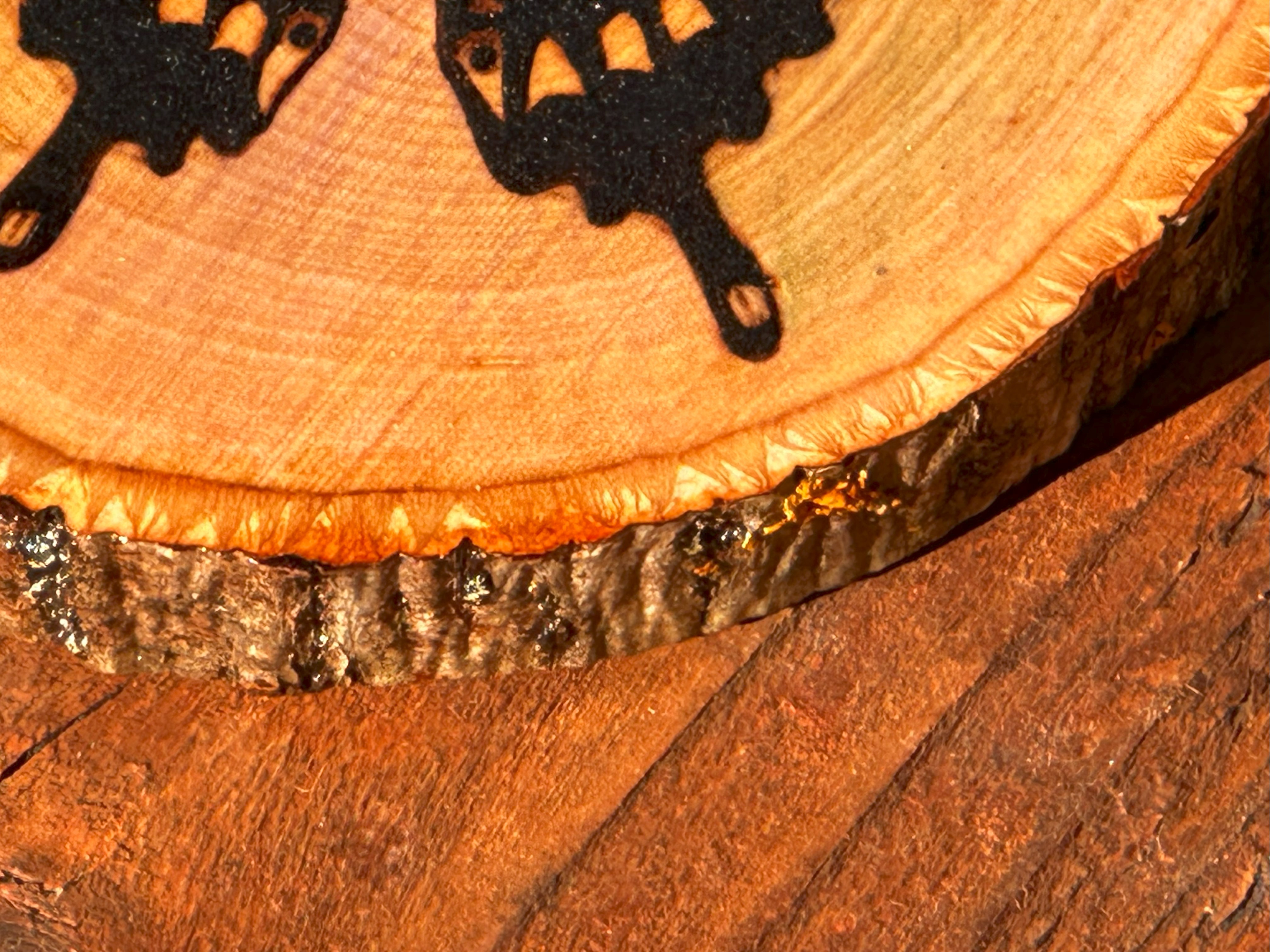 Handcrafted Butterfly Coaster on Basswood