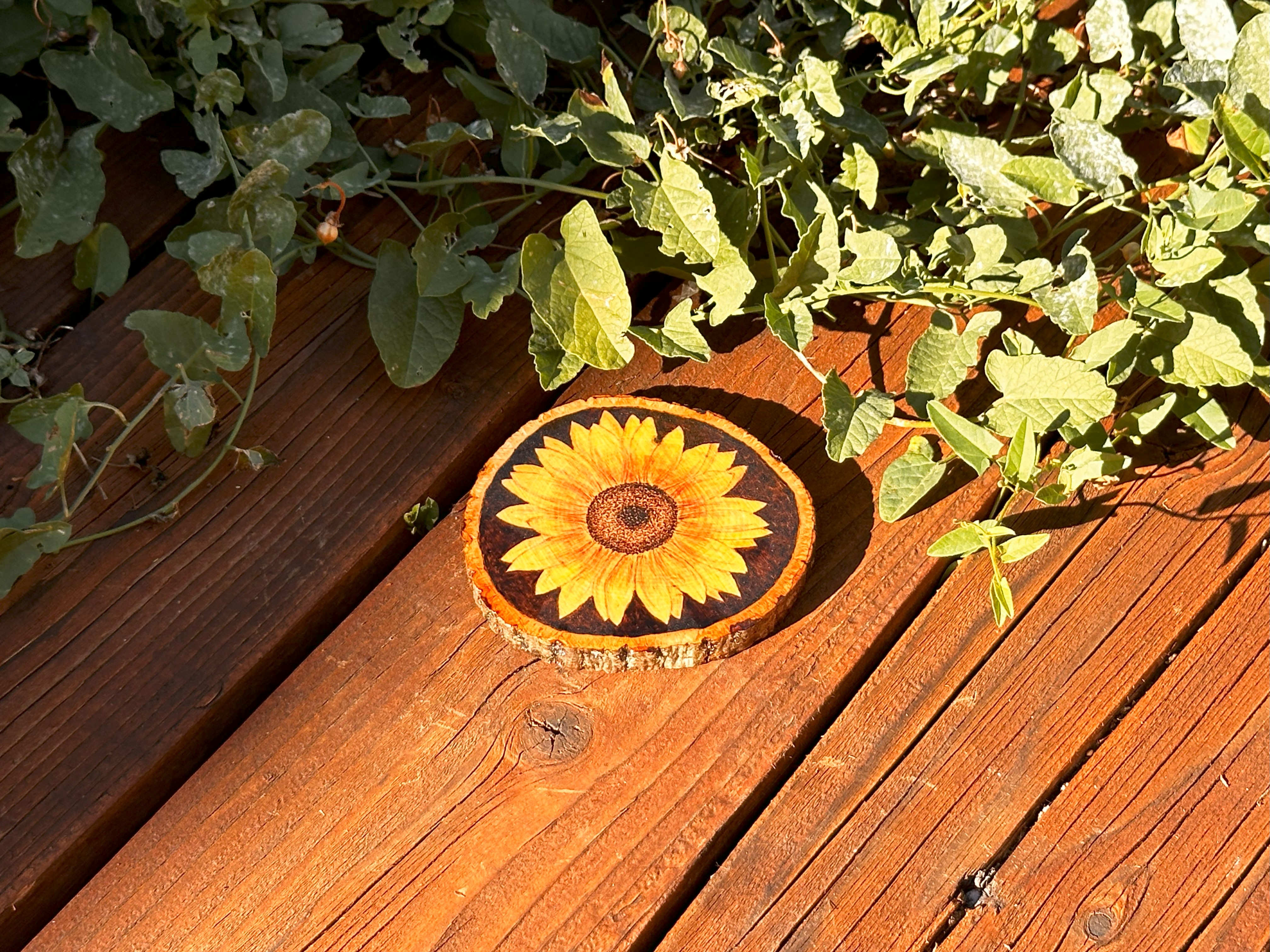 Woodburned Sunflower Coaster