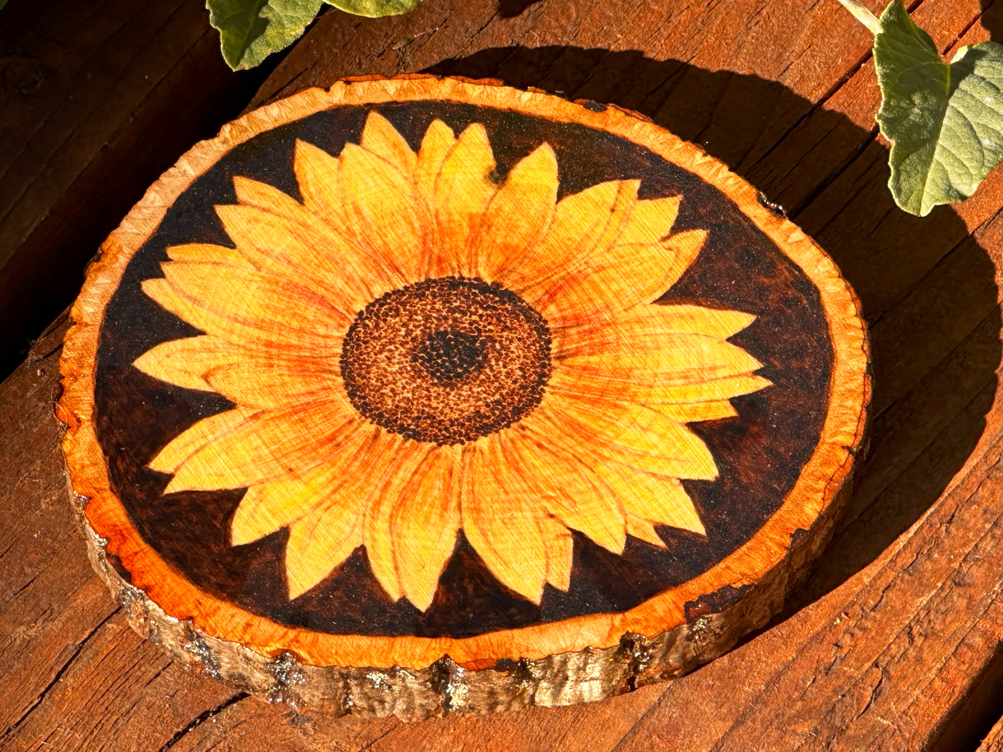 Woodburned Sunflower Coaster