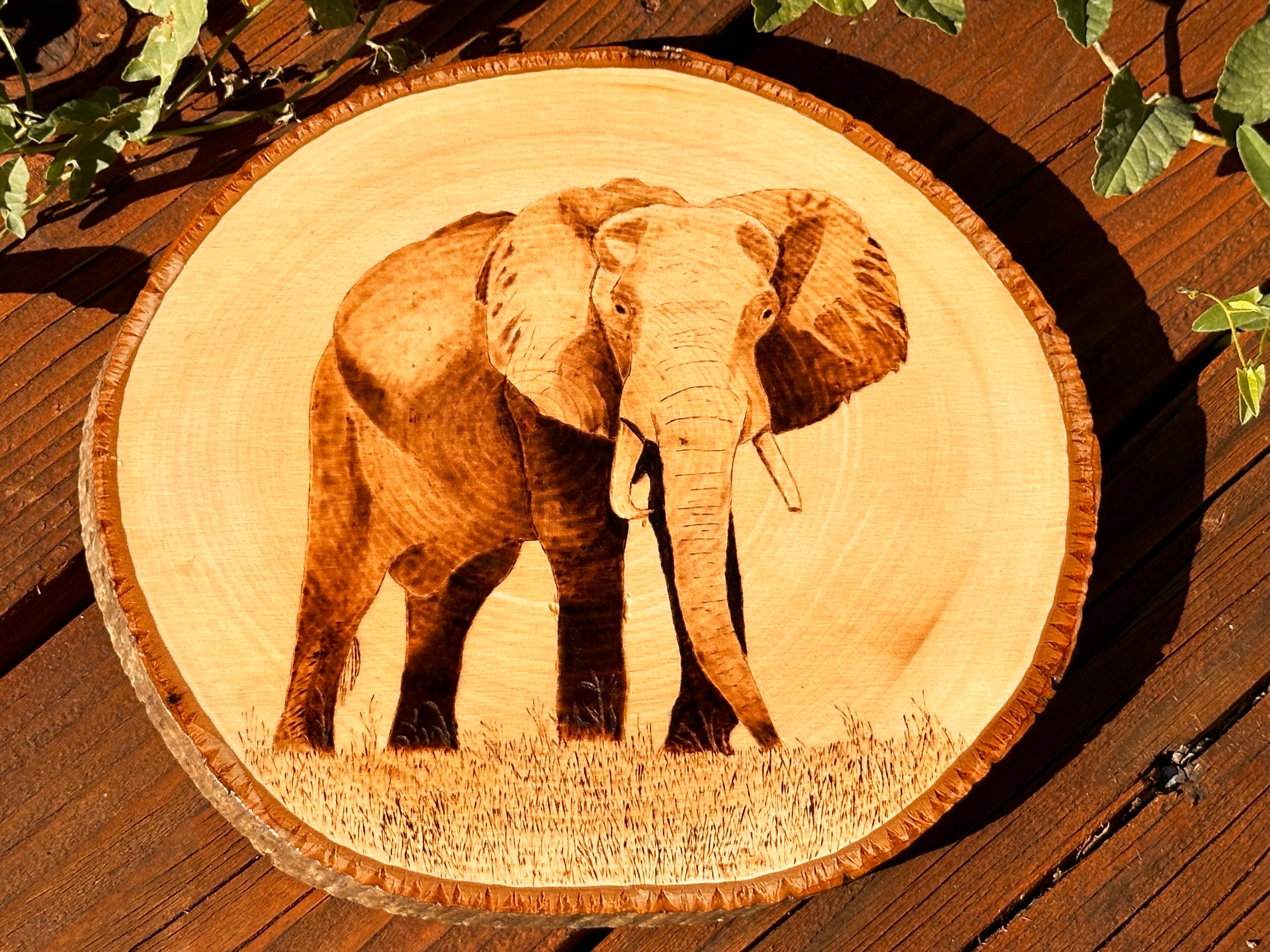 Custom Woodburned Animal Portraits