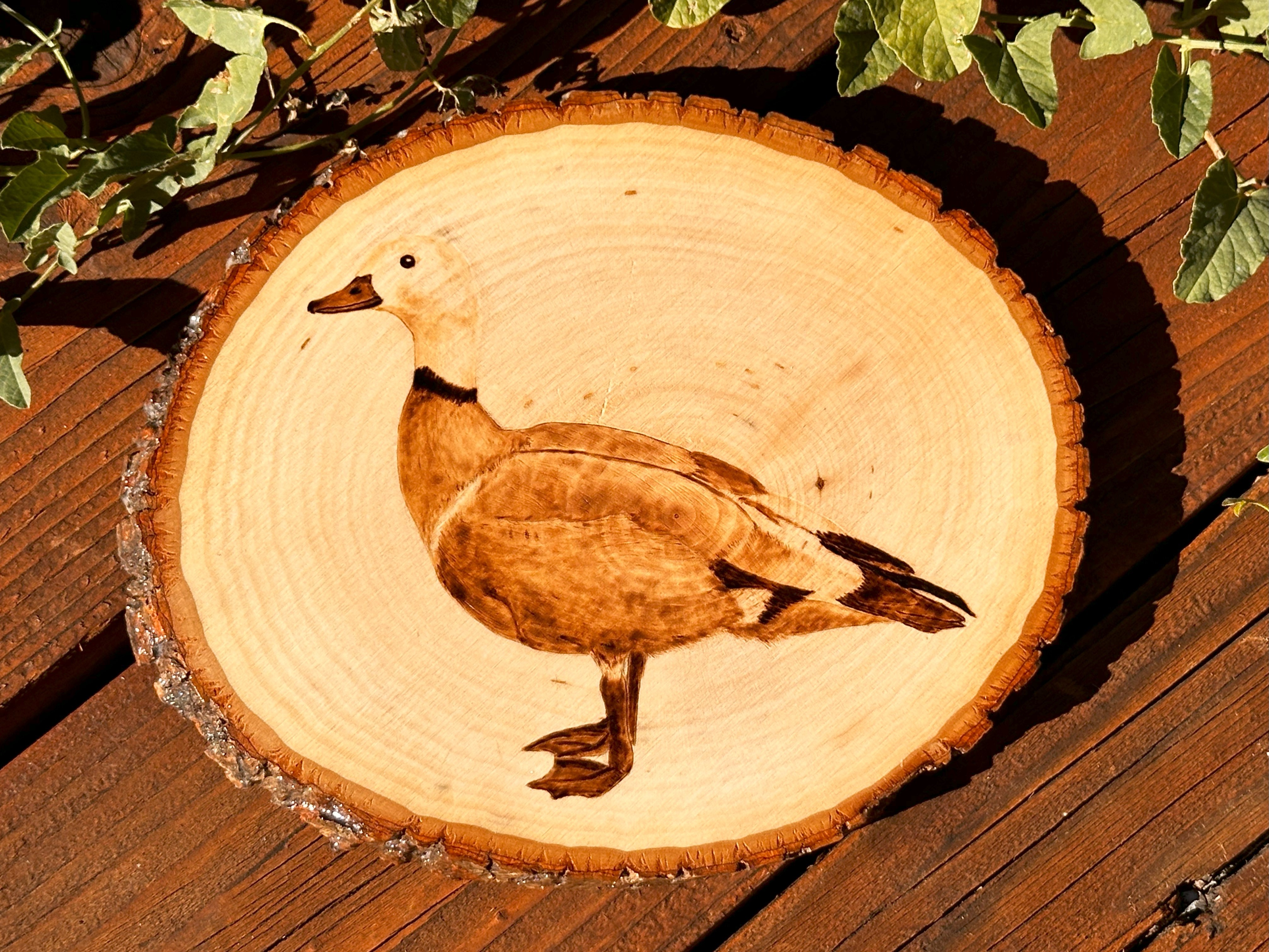 Custom Woodburned Animal Portraits