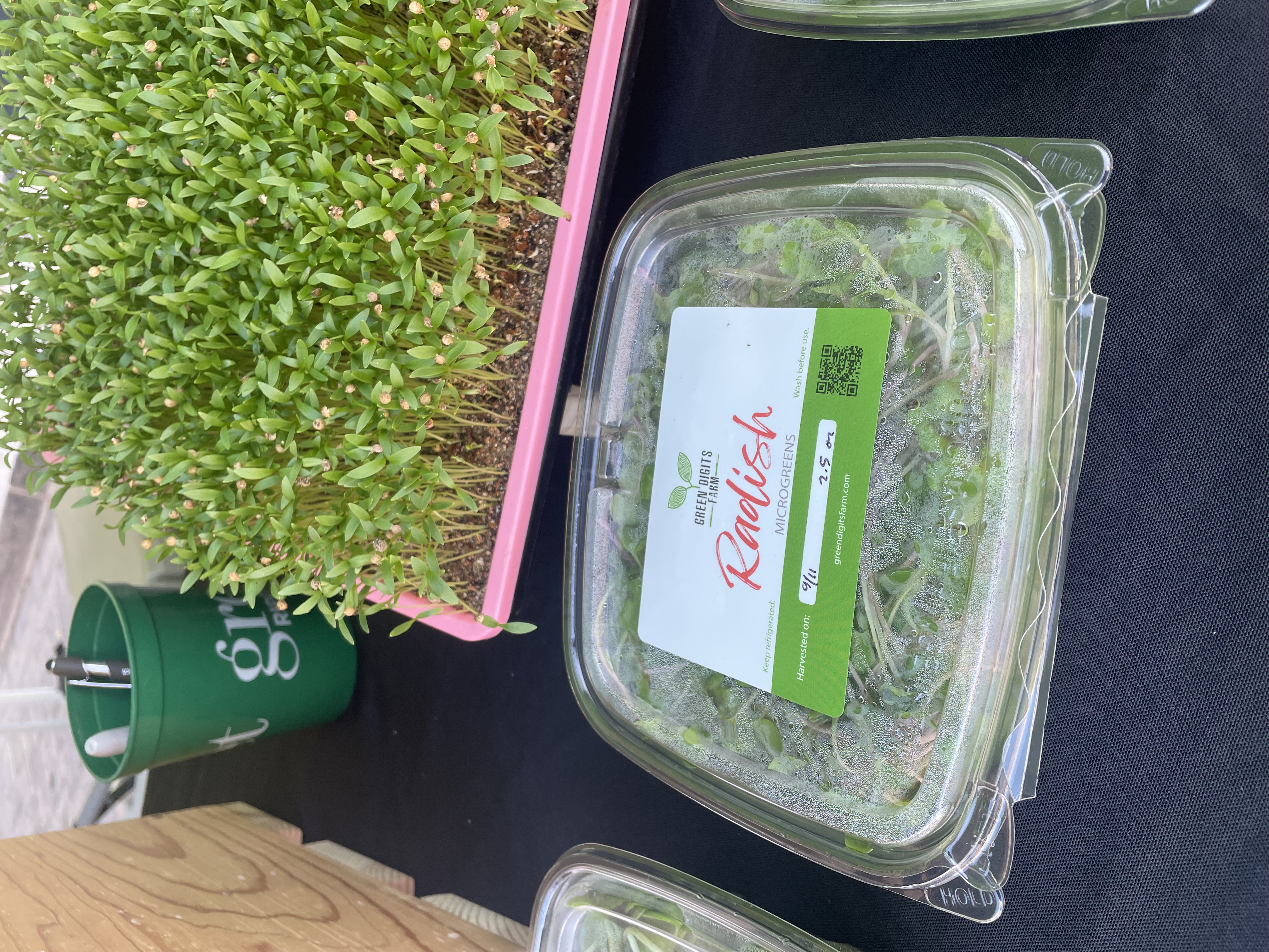 1 Fresh Radish  box
