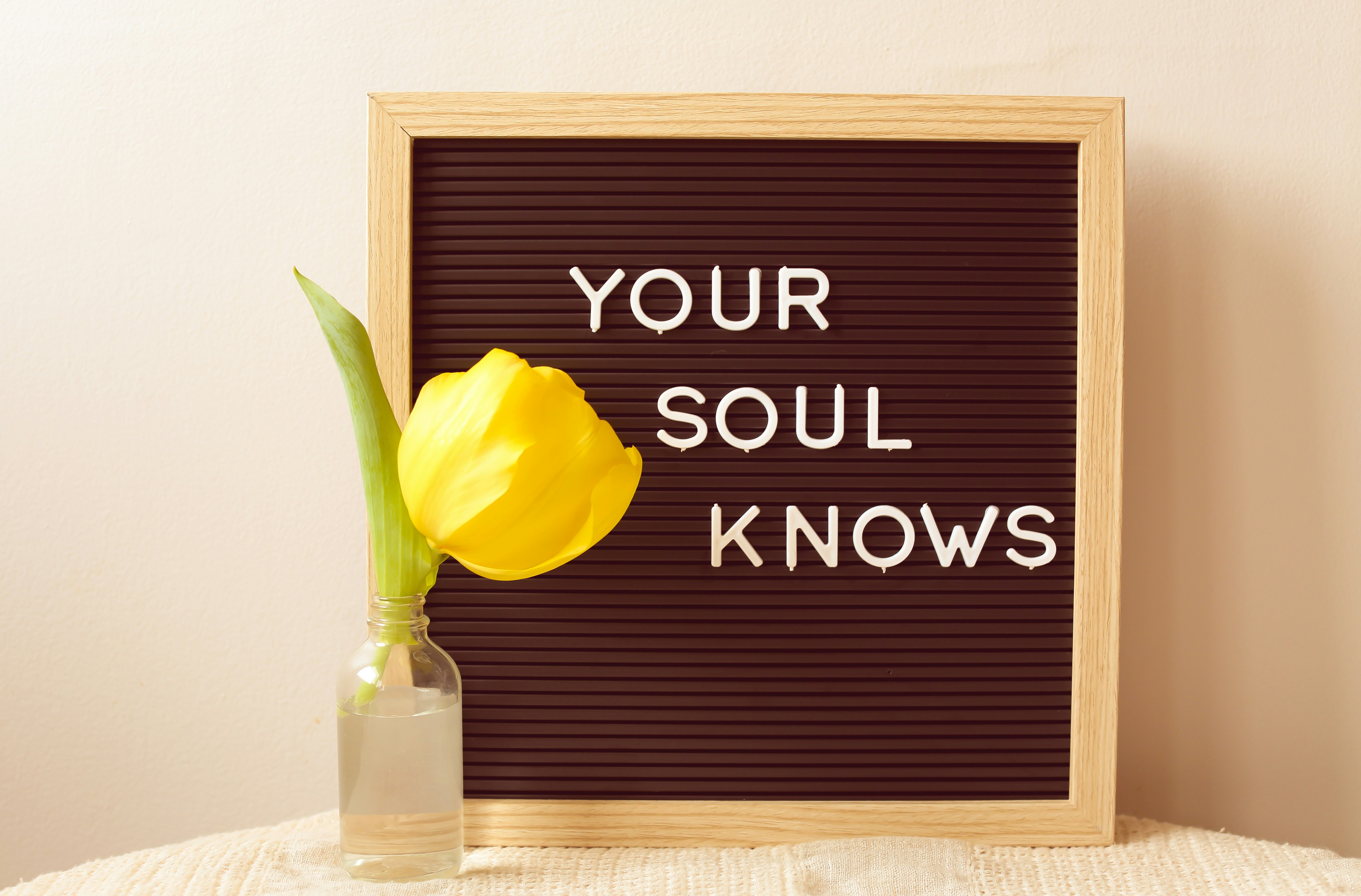 Savęs atradimo programa