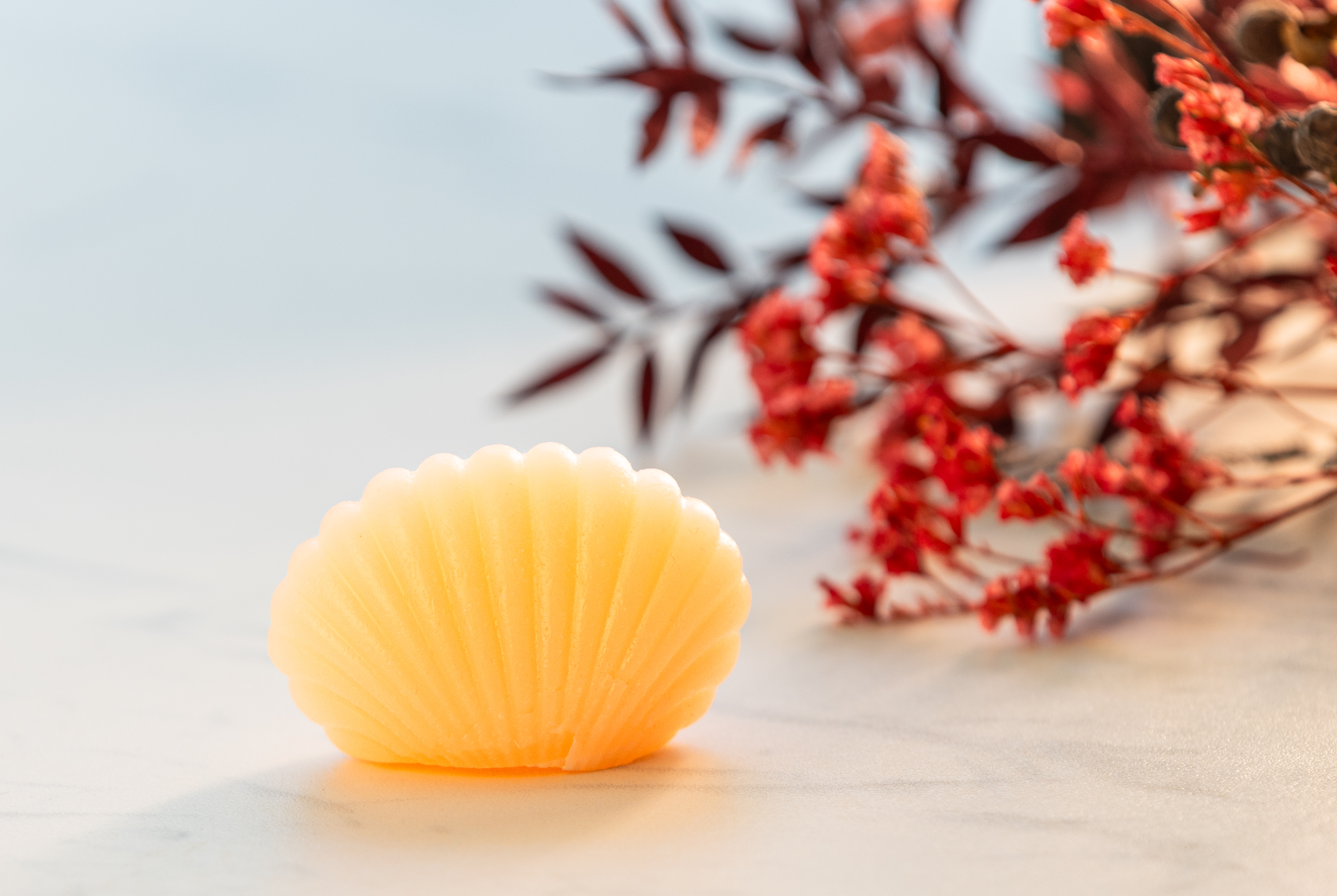 Shell-Shaped Soap Bar