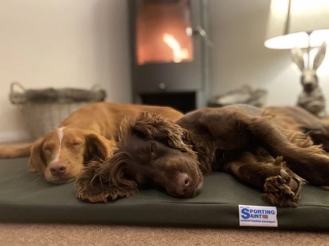 THE MEADOW BOOT DOG BED