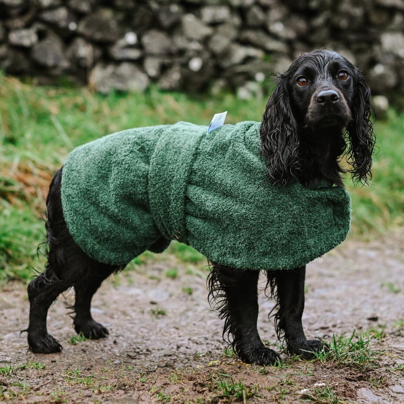 TOWELLING DRYING DOG COAT – WET TO DRY IN 20MINS