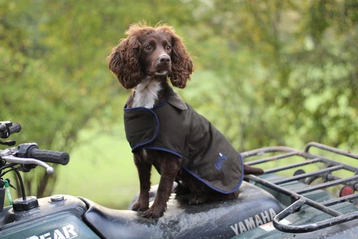 THE WINSLOW DOG COAT – WATERPROOF & WARM