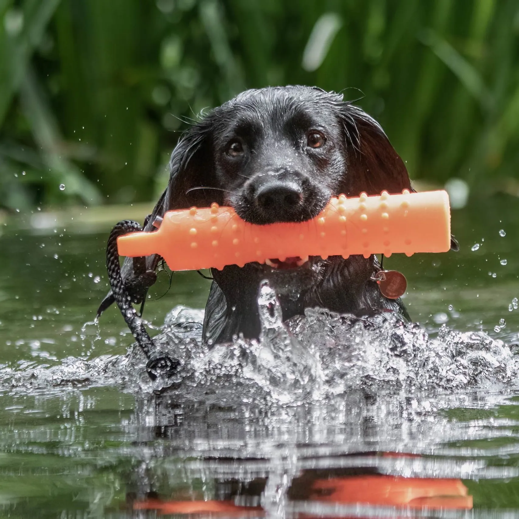 WATER DUMMY 2″ & 3″