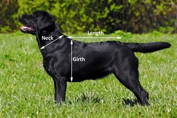 TOWELLING DRYING DOG COAT – WET TO DRY IN 20MINS